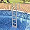 Pro Series In-pool Ladder